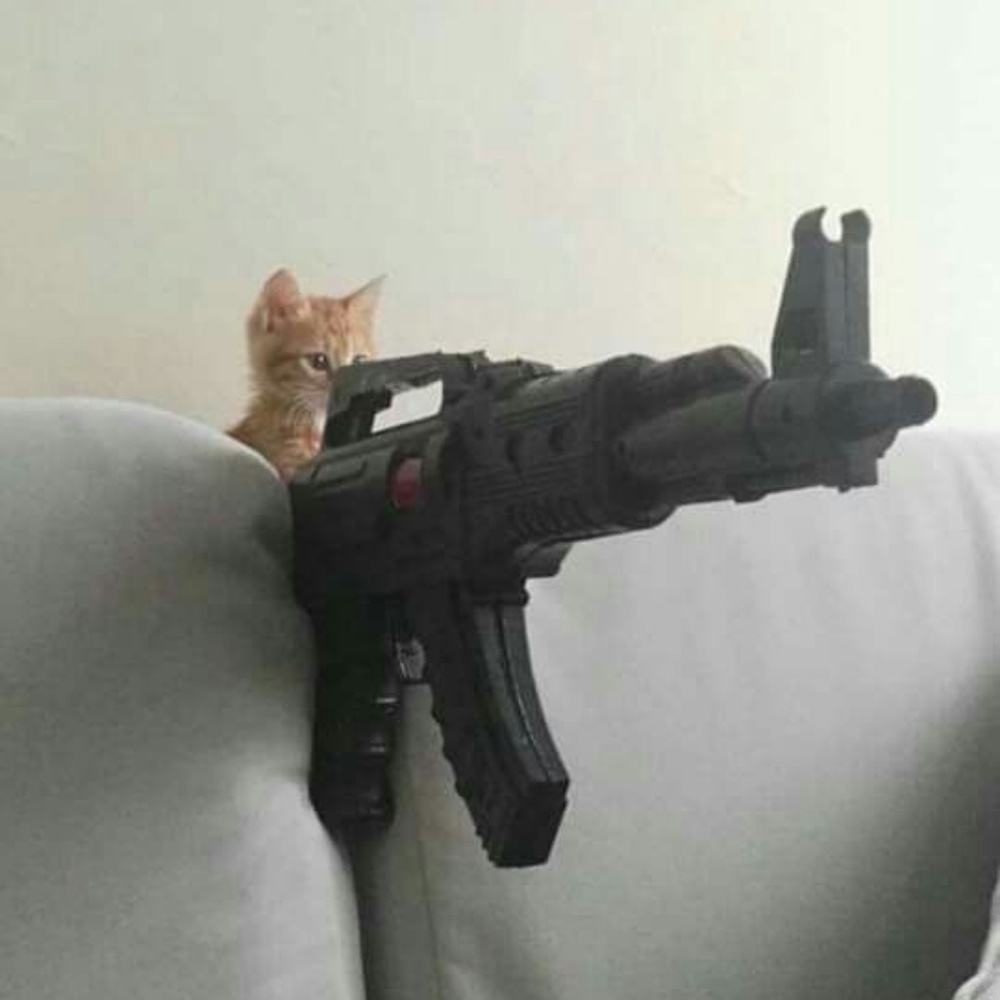 Meet your Posher, Jazmine